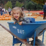 Pumpkin Patch Festival