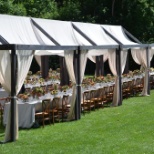 Canopy Tents