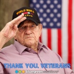 Veterans Day