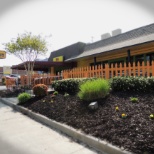 Our landscaping is maintained by one of our awesome employees!