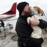 Avflight Willow Run helping with a flight to rescue dogs from Hurricanes Maria and Irma.