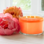 PartyLite 3-Wick Scented Jar Candle in Peony