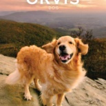 Orvis Cover Dog