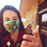 Witnessing the Monarch butterflies enjoy the grounds and gift shop at Desert Botanical Garden