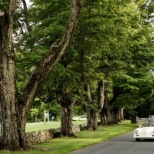 Entrance Driveway