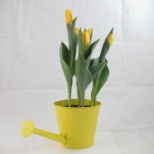 Tulip Watering Can