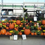 Fall Display