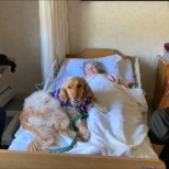 Hospice Therapy - Music and Pet!