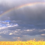 Agriculture is our roots.