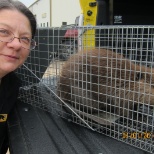 Beaver removed from man made lake