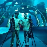 S.E.A aquarium Sentosa