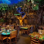 Rain forest cafe