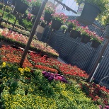 Another beautiful day to merchandise plants!