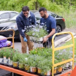 Employees participating in our Spring Planting Day.