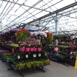 Live Goods Merchandiser