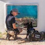 K9 Trainer and Service Dog in Training