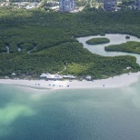 Seeing mangroves and the water is a beautiful way to let your worries fade away.