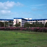 Hospital Building