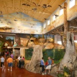 The fish tank in the Auburn, NY Bass Pro Shops