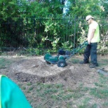 Stump grinding