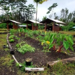 The garden is one of many areas in the program where students learn to practice life skills