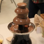 A delicious chocolate fountain at our February event