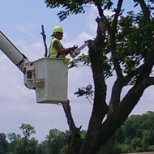 Trimming a timeout of a bucket truck