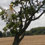 operating a bucket Truck