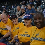 Individuals enjoying a baseball game