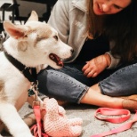 Bring Your Pet to Work Day