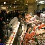 Fish Counter