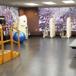 Rehab Gym