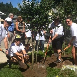 Gallagher Bassett employees participated in a beautification project.