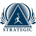 Strategic Group