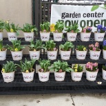 Garden Center is Now Open