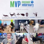 Heart worm prevention day where MVP team members brought their pets to work!