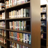 Stevens Bookshelves at the Effingham Public Library