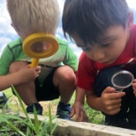 Making discoveries in their class garden