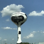 Water Tower