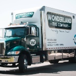 Wonderland vehicle