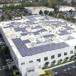 Green-Roofing