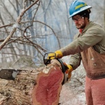A Field Specialist demonstrates various cuts during chainsaw training for crew members.