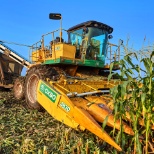 Harvesting corn