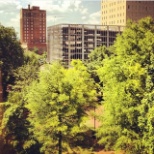 Lovely view from City Hall overlooking downtown park